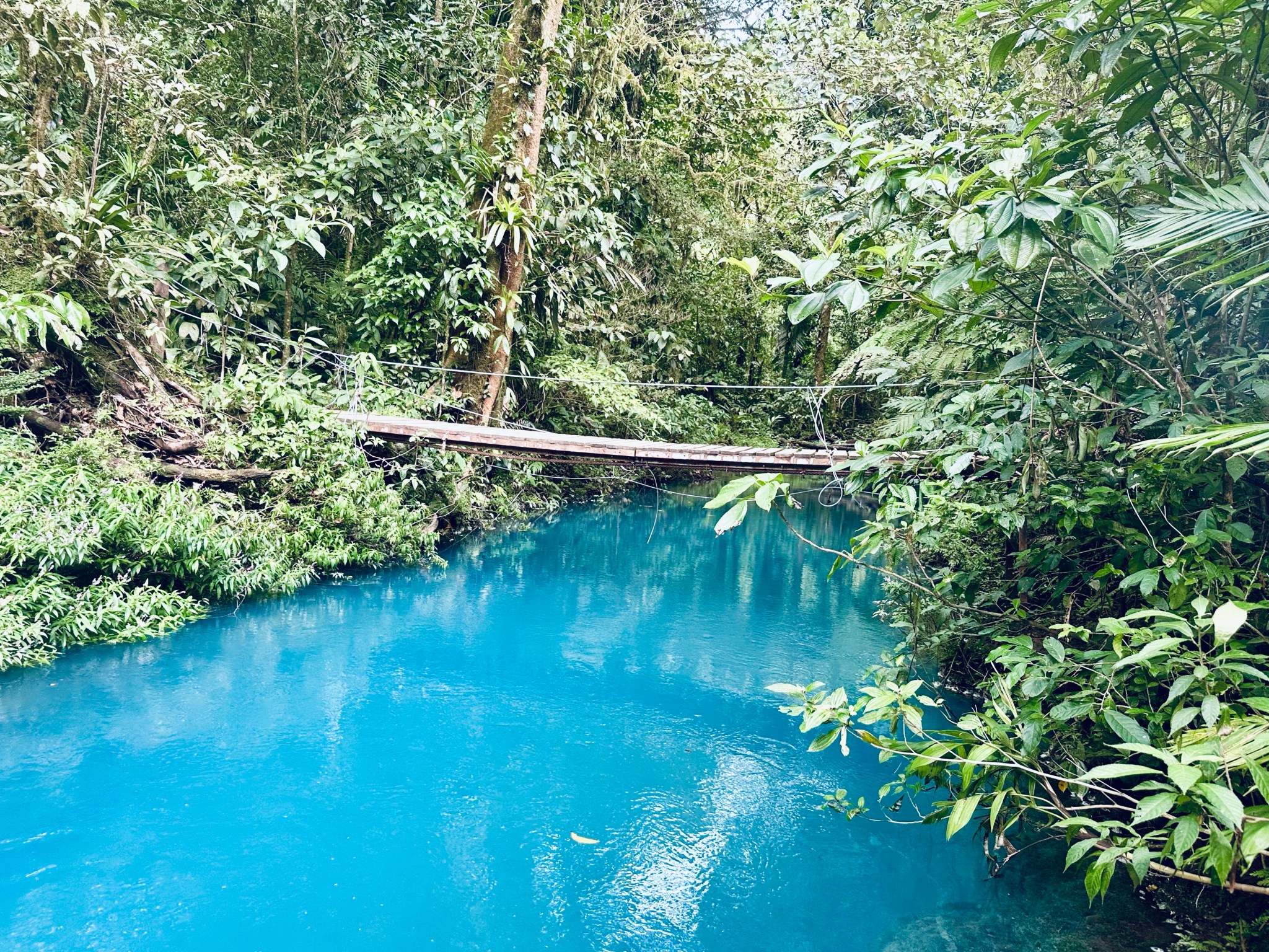 Cleste Riveti Why so blue? Nature’s chemistry lab -Rio Celeste the blue river and ...
